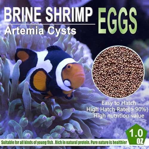 Brine Shrimp Eggs 0.5 oz S1336