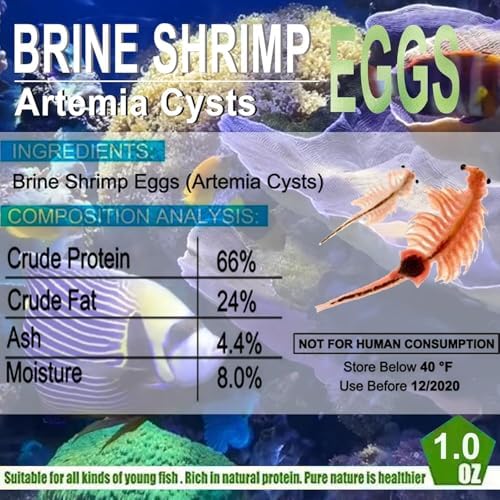 Brine Shrimp Eggs 0.5 oz S1336