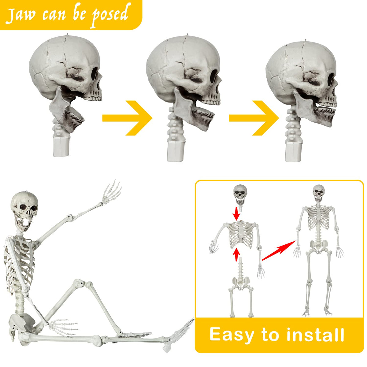 Life Size Skeleton with Posable Joints S6281