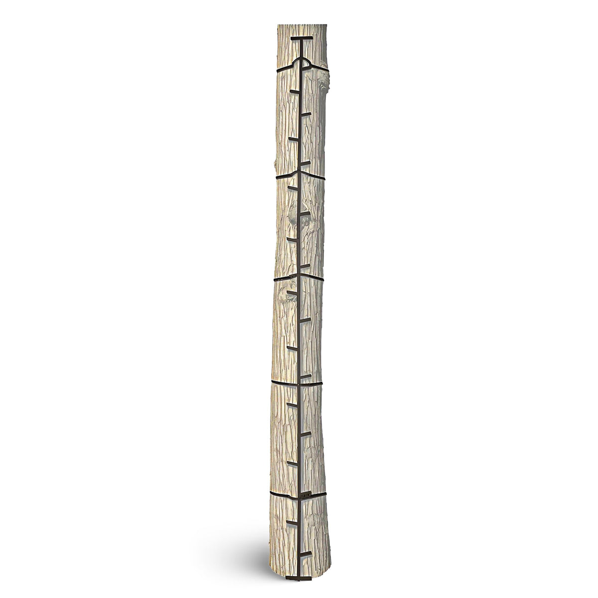Climbing Ladder Sticks R528719