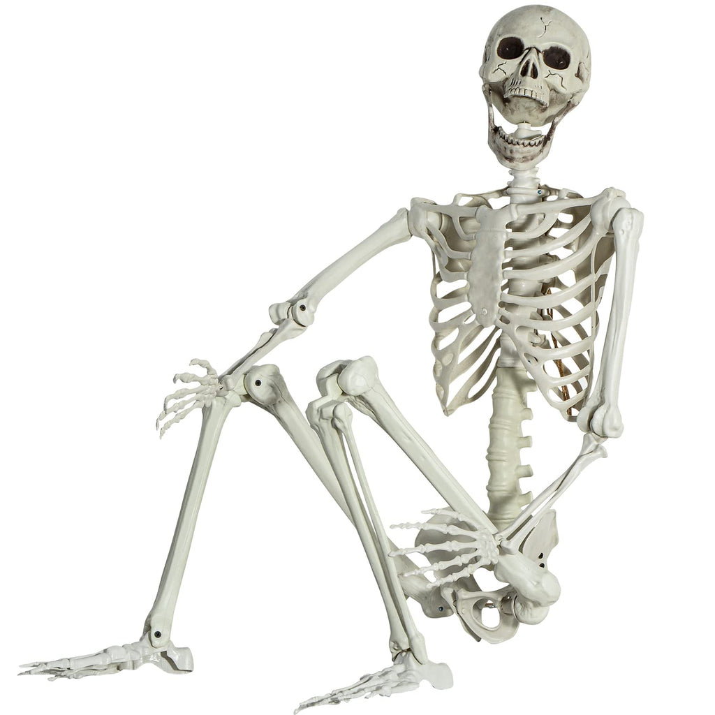Life Size Skeleton with Posable Joints S6281