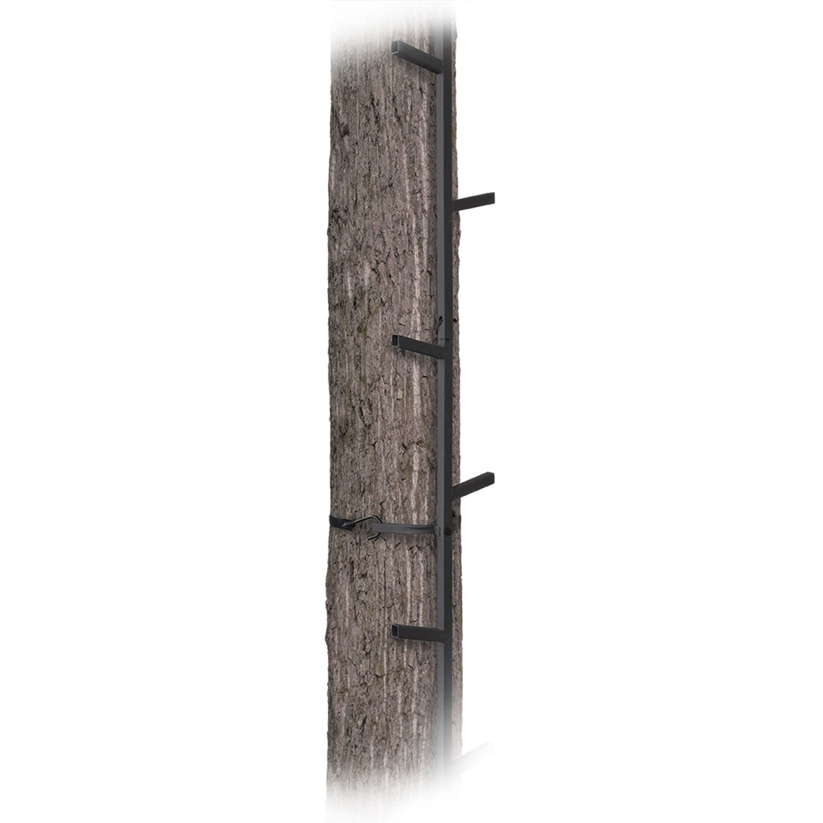 Climbing Ladder Sticks R528719