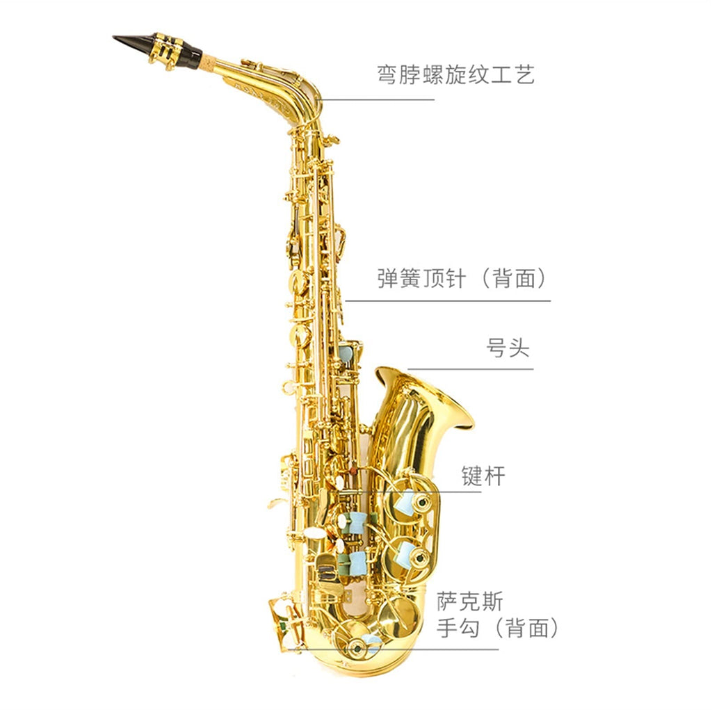 E Flat Alto Saxophone X795877
