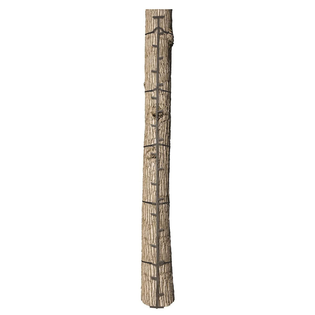 Climbing Ladder Sticks R528719