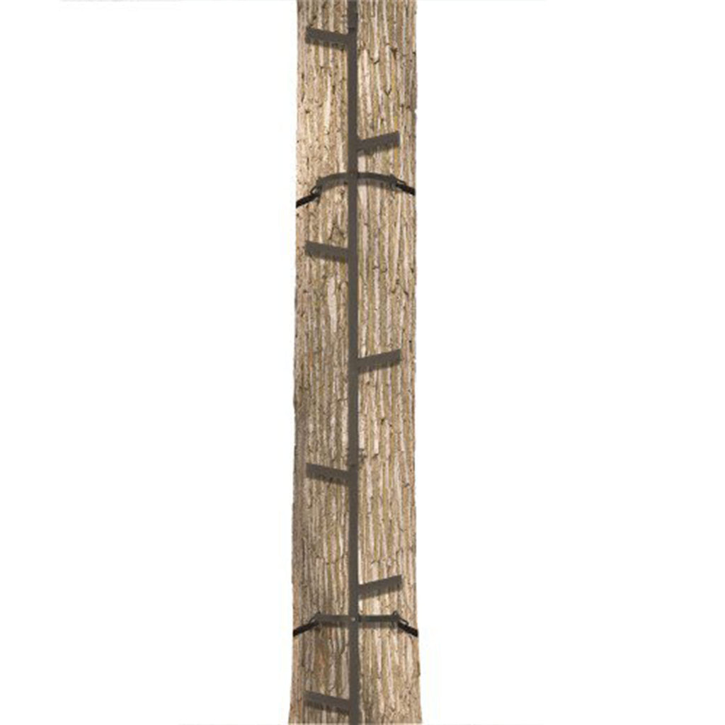 Climbing Ladder Sticks R528719