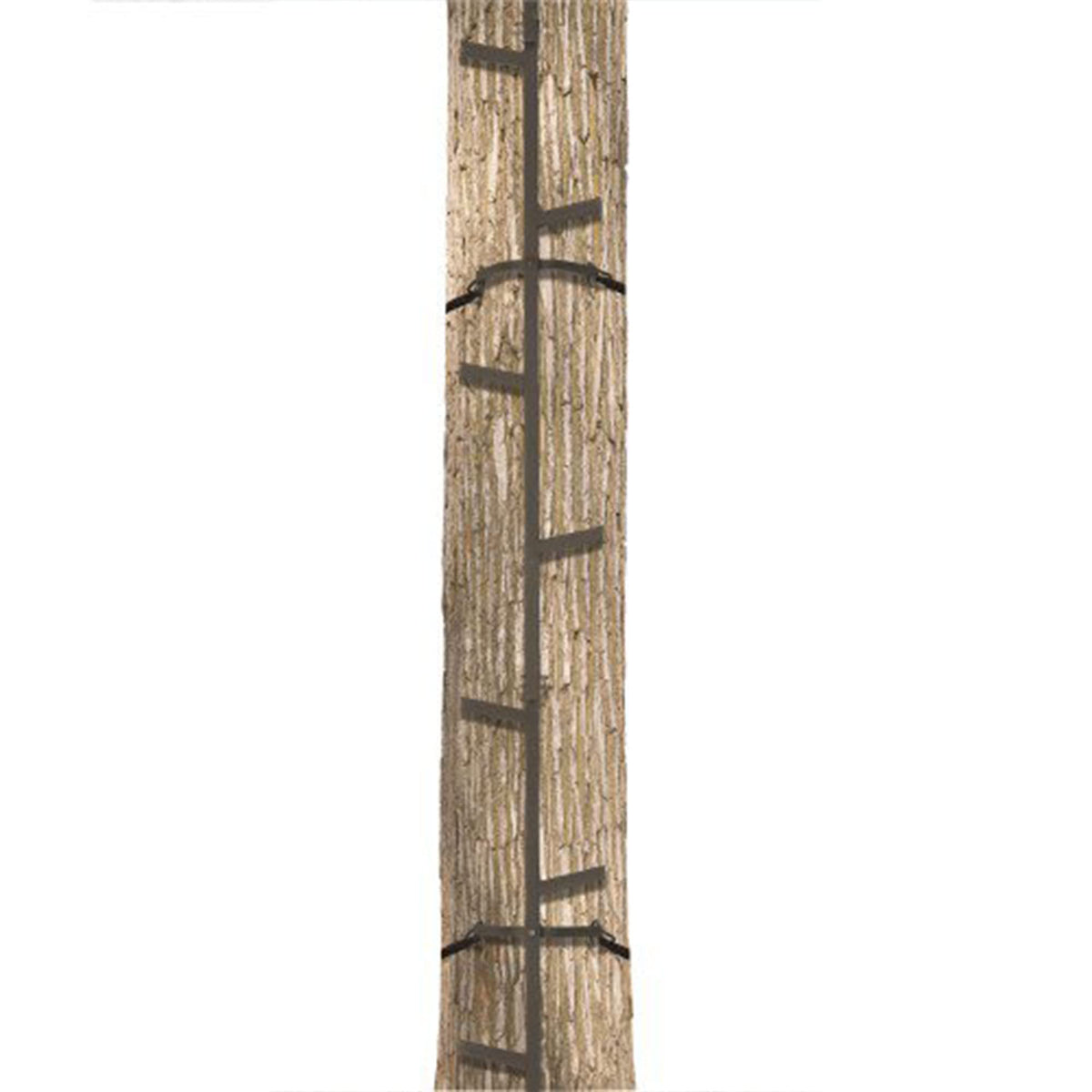Climbing Ladder Sticks R528719