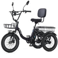 Fat Tire Folding Electric Tricycle R51982