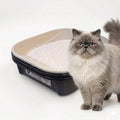 Black Sifting Cat Litter Box Z217