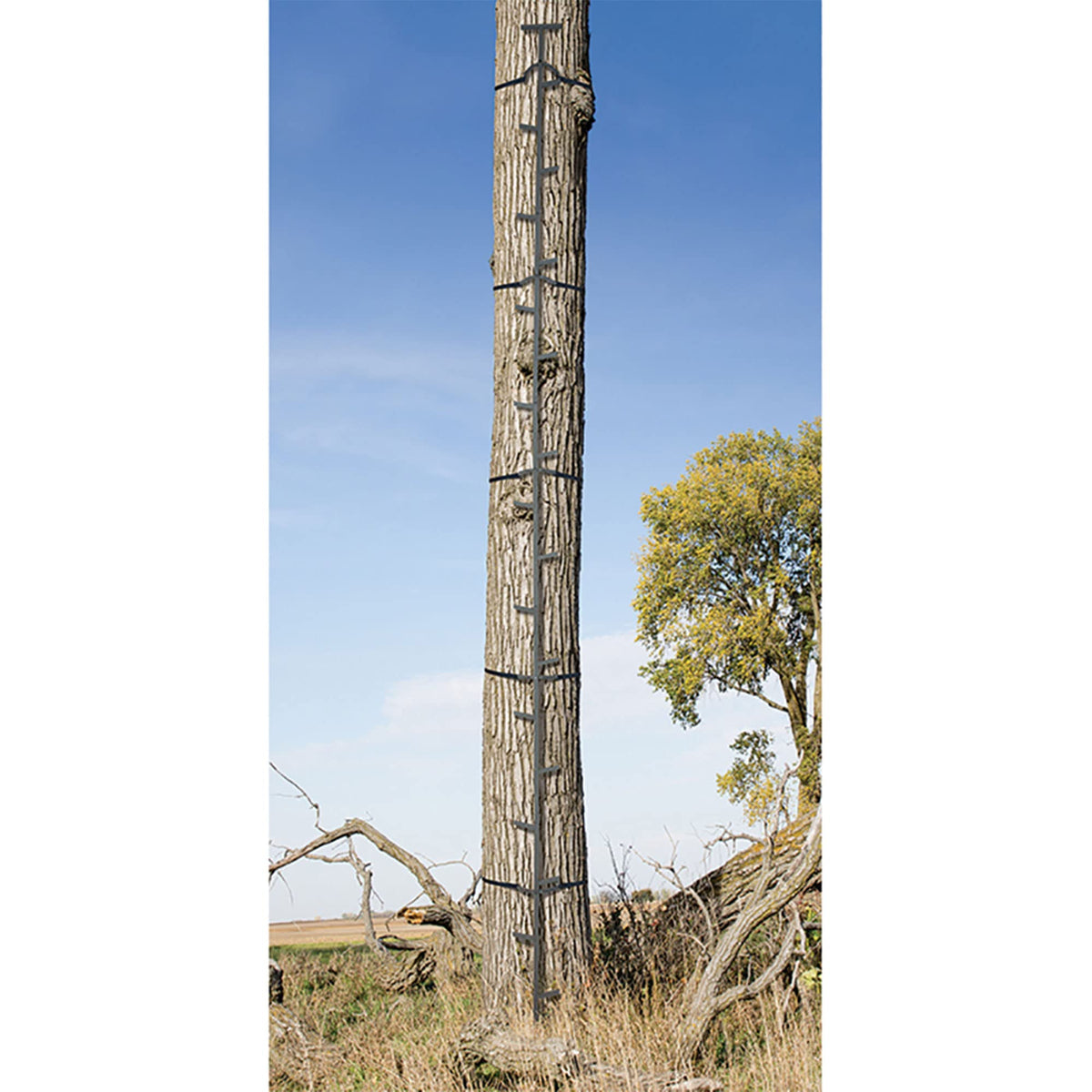 Climbing Ladder Sticks R528719