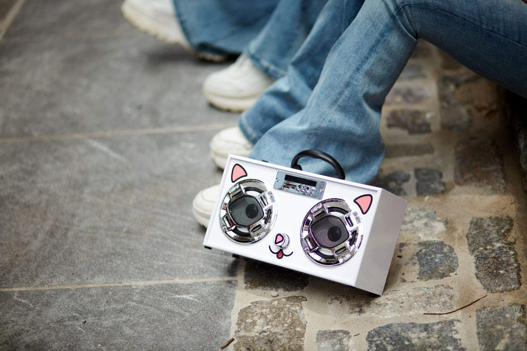 Bluetooth Speaker with FM Radio & LED Lights E7077