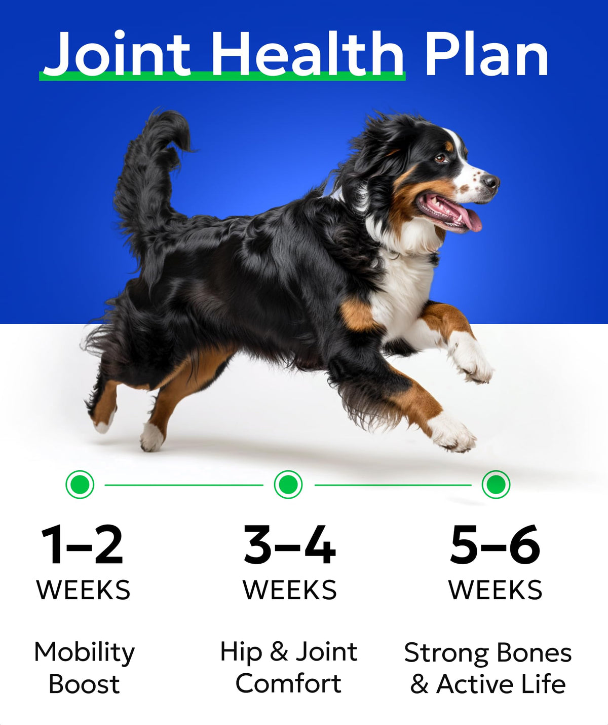 Glucosamine Chondroitin Hip Joint Supplement Chew J6436