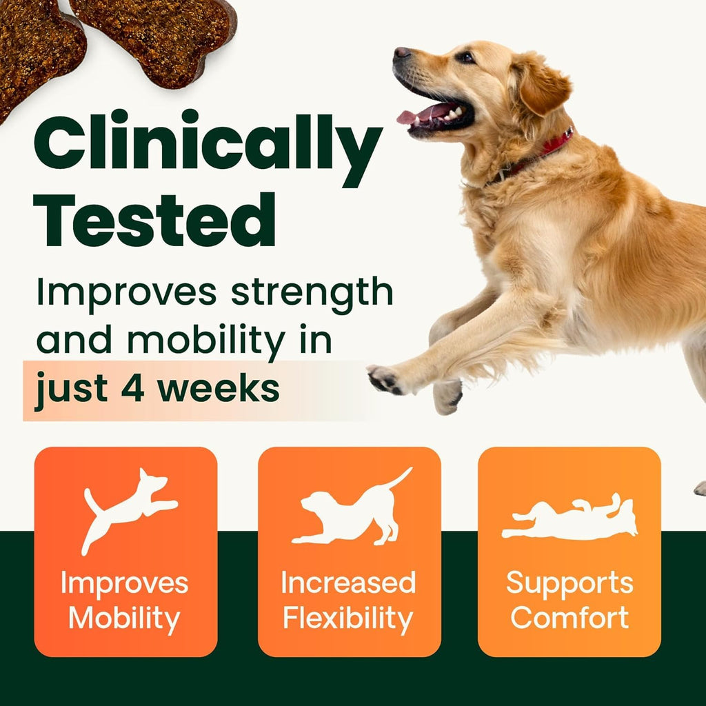 Chicken Hip & Joint Tablets for Dogs, 120 Count Q79292