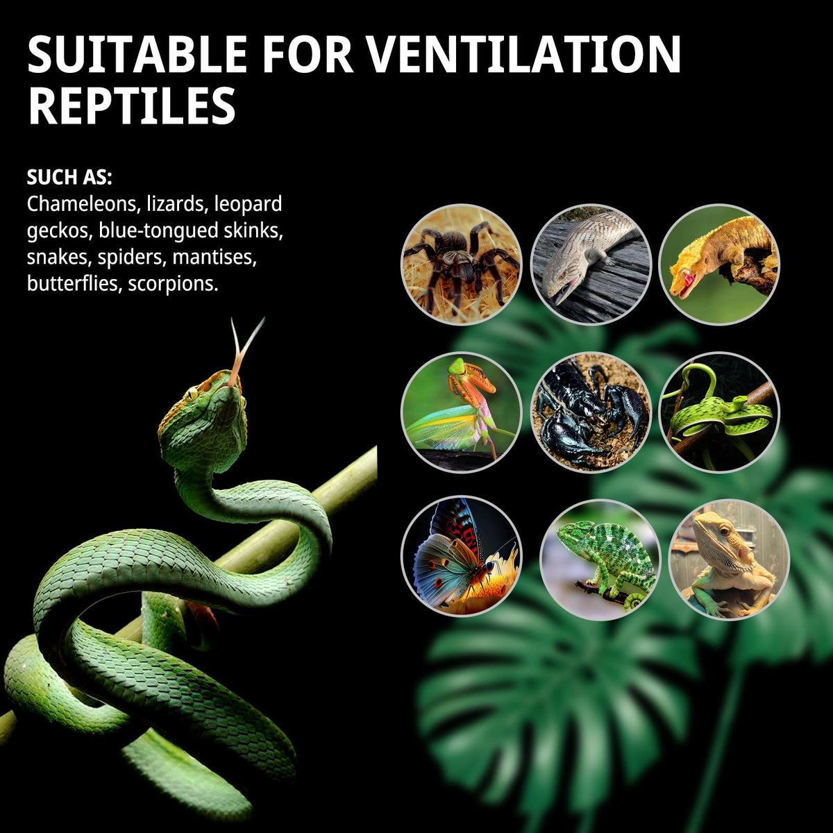33 Gallon 26"x17"x17" Mesh Screen Reptile Enclosure W610