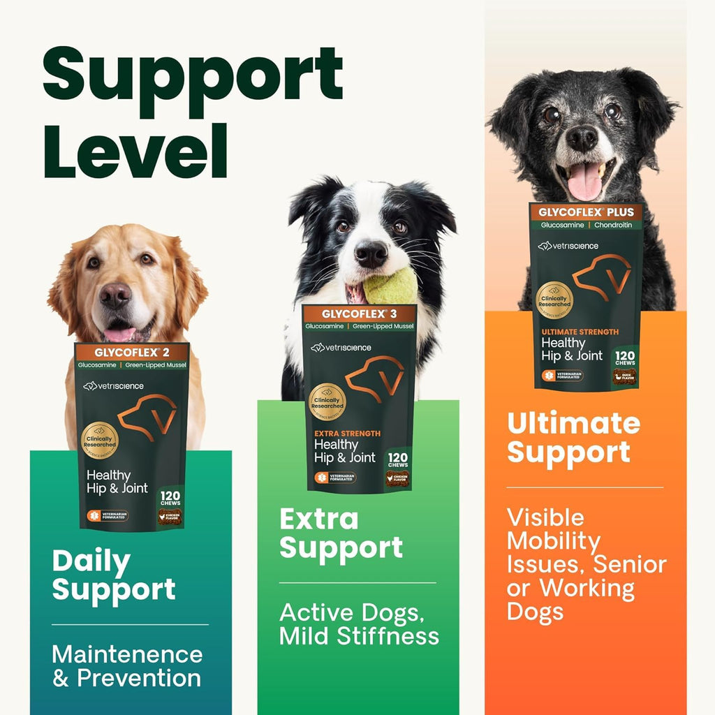 Chicken Hip & Joint Tablets for Dogs, 120 Count Q79292
