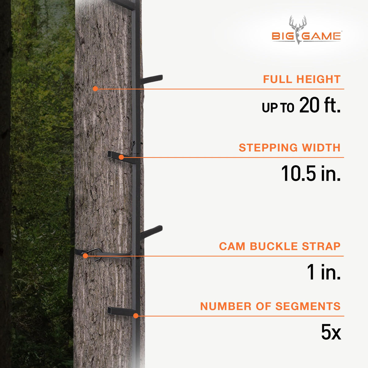 Climbing Ladder Sticks R528719