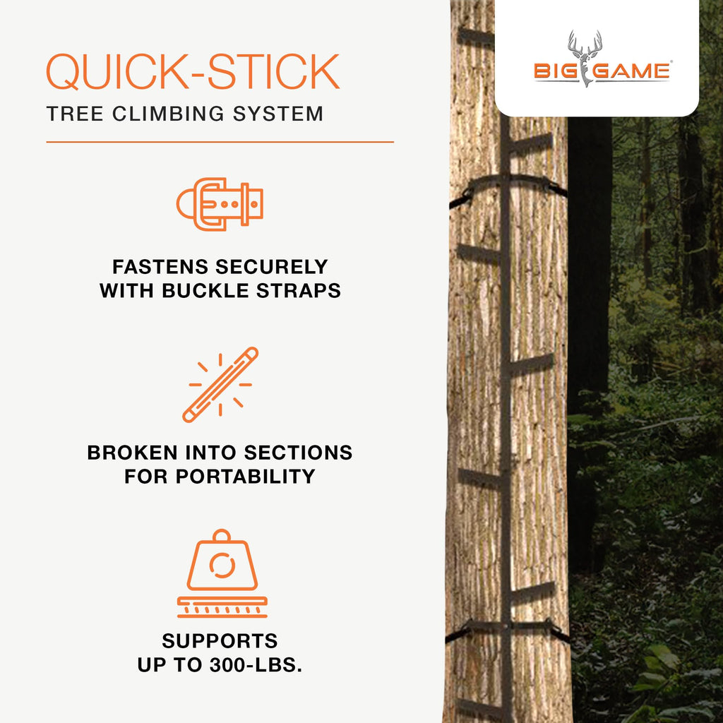 Climbing Ladder Sticks R528719