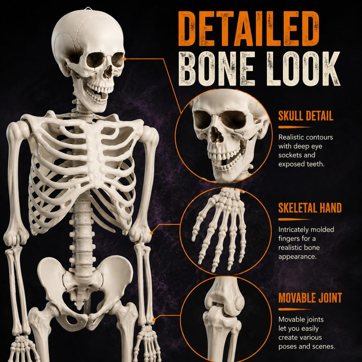 Life Size Posable Skeleton Z206540
