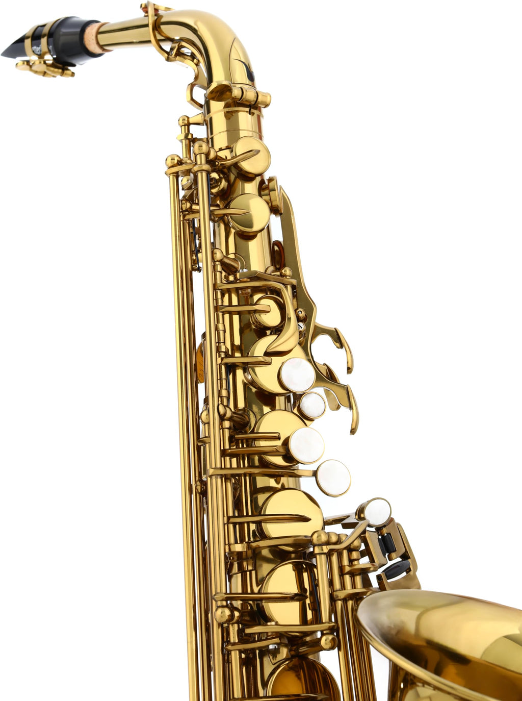 Alto Saxophone with Dark Gold Lacquer Finish F789112