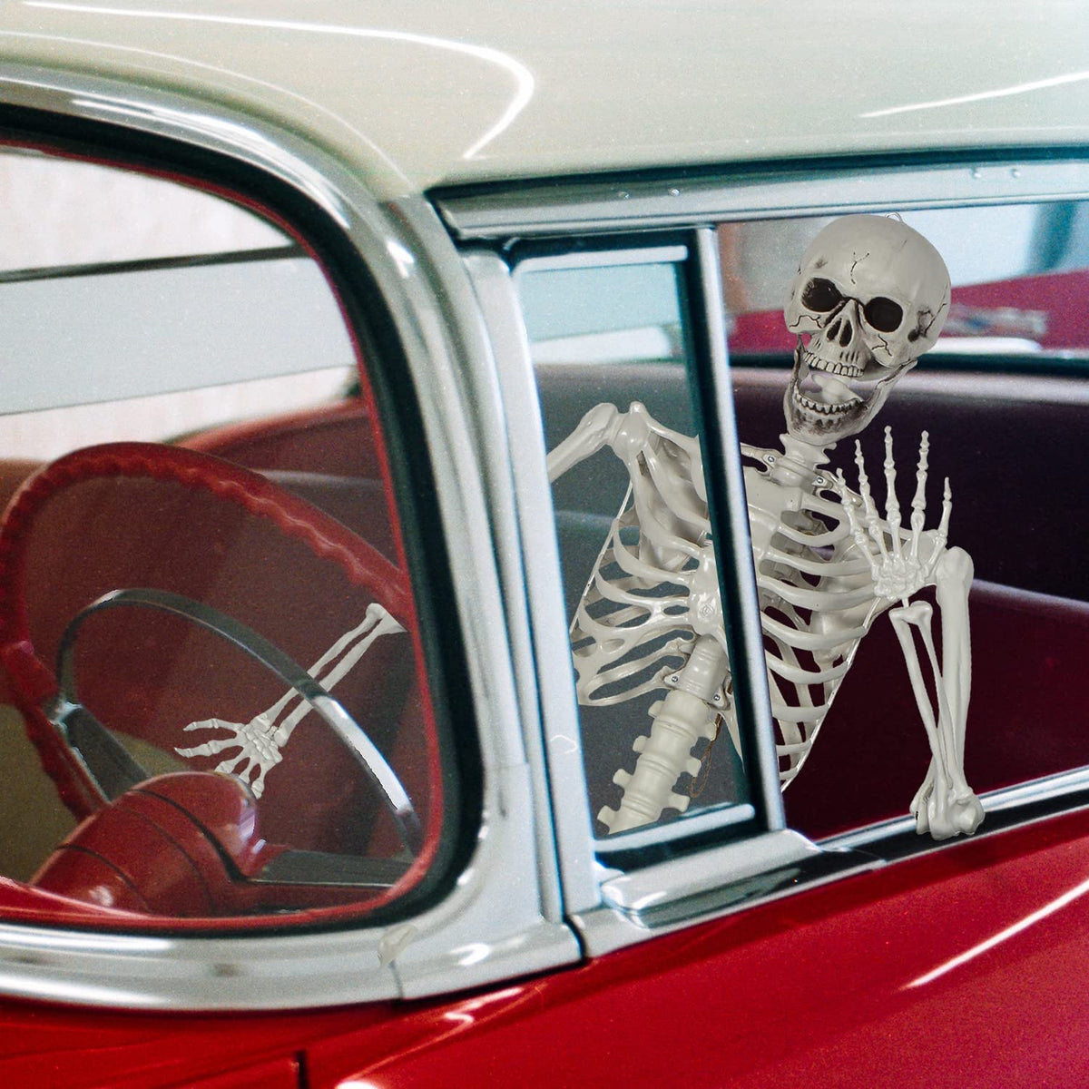 Life Size Skeleton with Posable Joints S6281