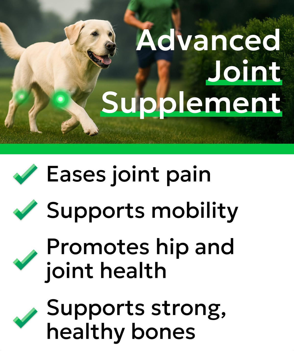 Glucosamine Chondroitin Hip Joint Supplement Chew J6436