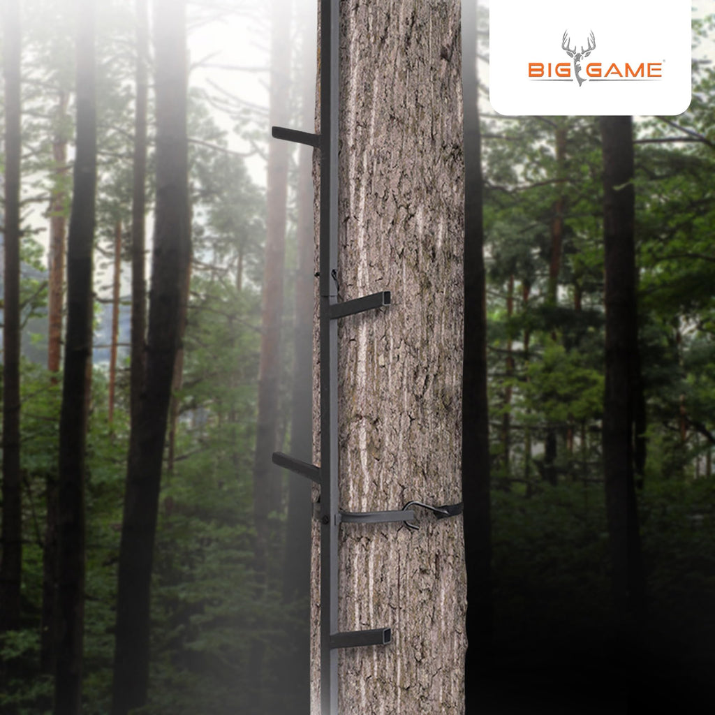 Climbing Ladder Sticks R528719