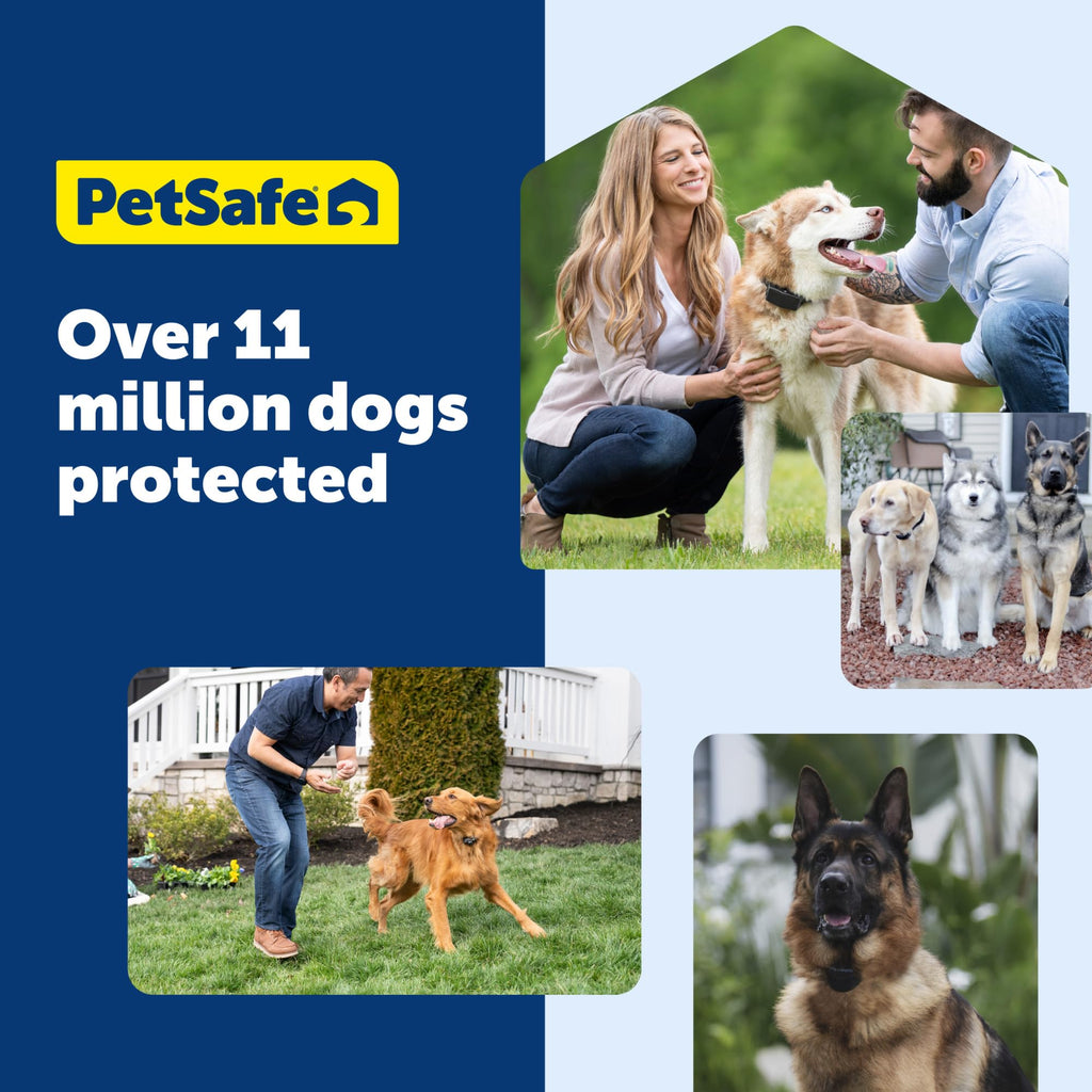 Rechargeable In-Ground Fence Collar R315