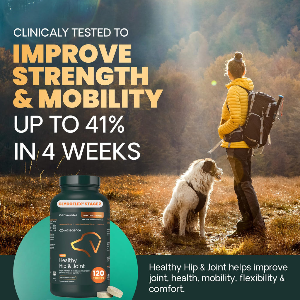 Chicken Hip & Joint Tablets for Dogs, 120 Count Q79292