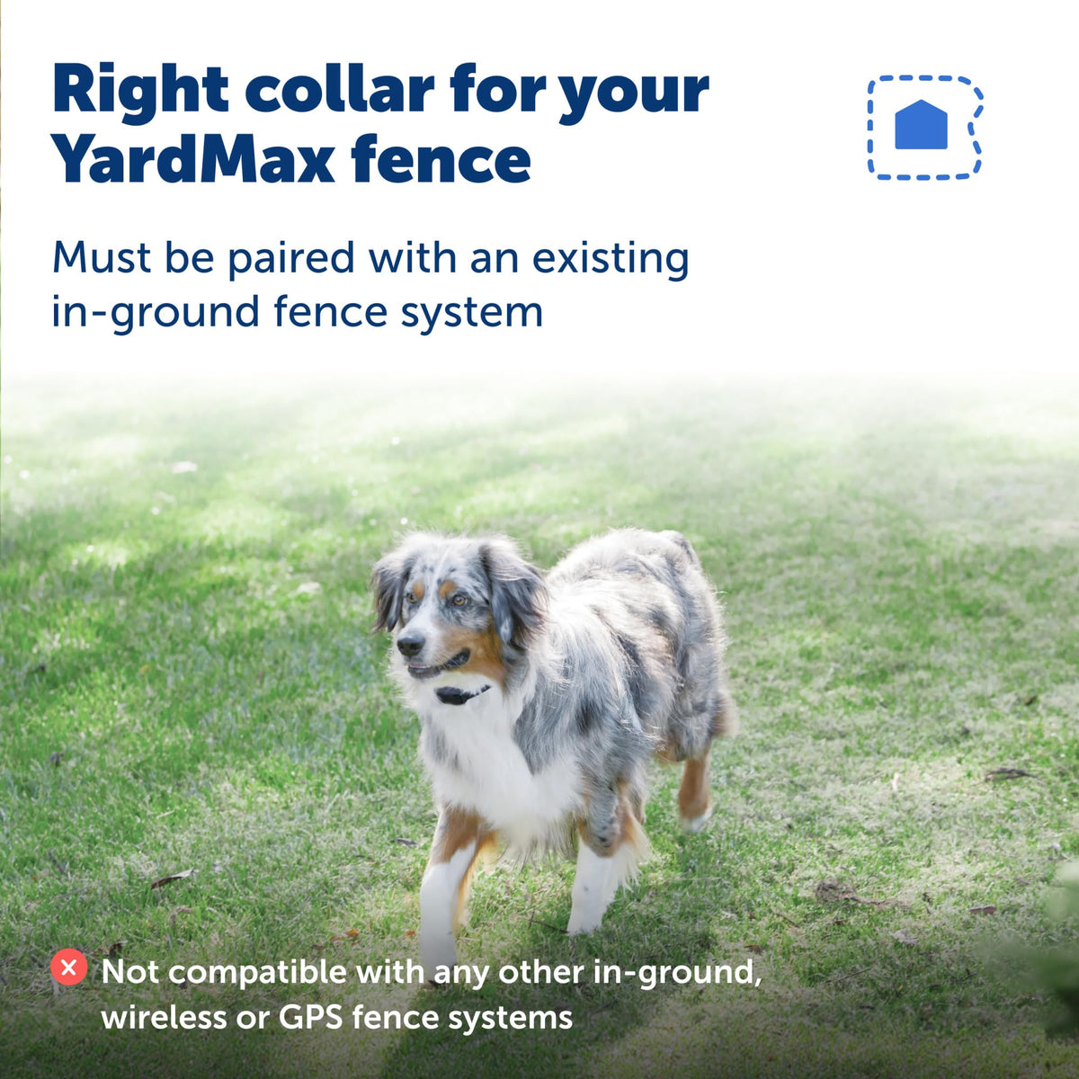 Rechargeable In-Ground Fence Collar R315