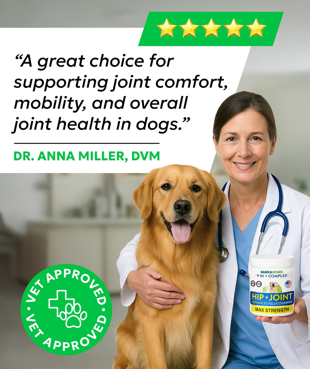 Glucosamine Chondroitin Hip Joint Supplement Chew J6436