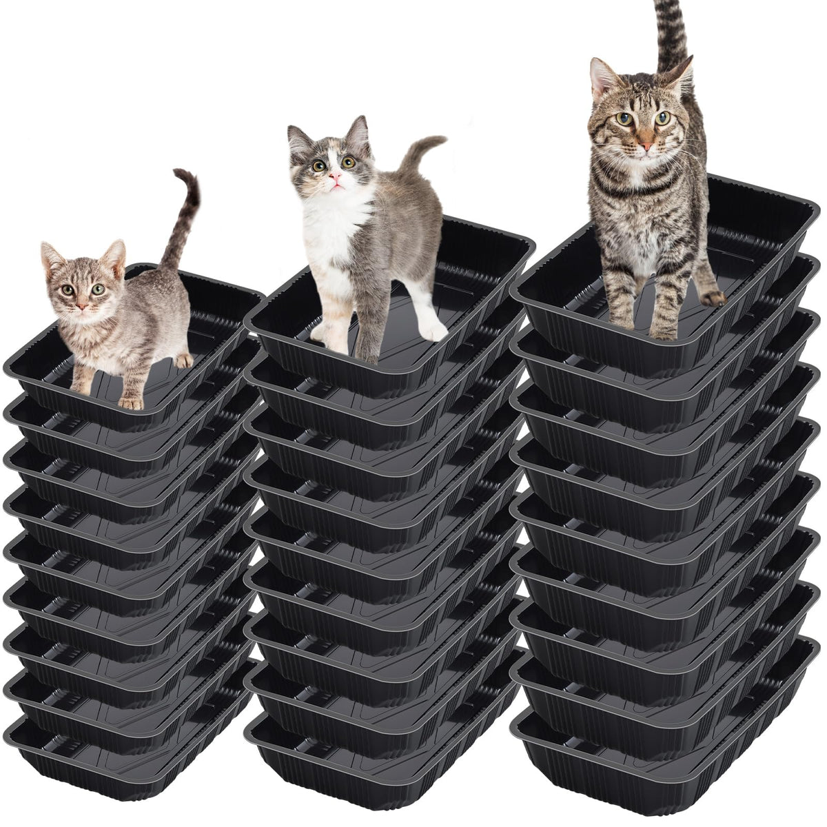 30 Pcs Disposable Plastic Cat Litter Trays 3 Sizes Black Q9219