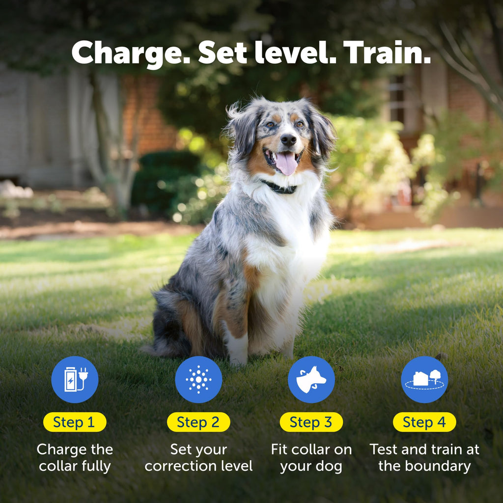 Rechargeable In-Ground Fence Collar R315
