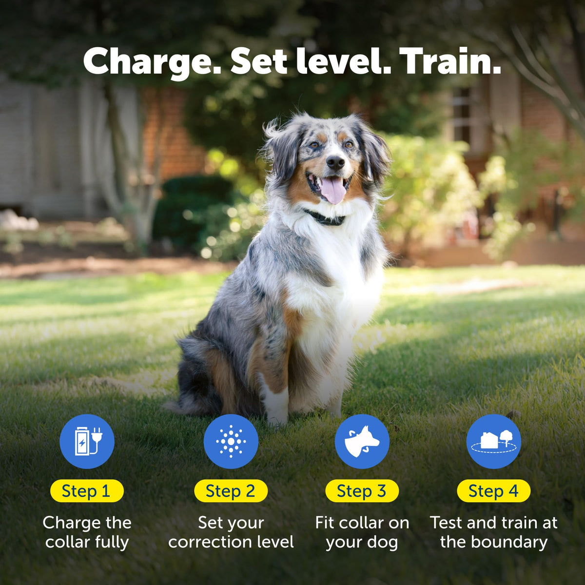 Rechargeable In-Ground Fence Collar R315