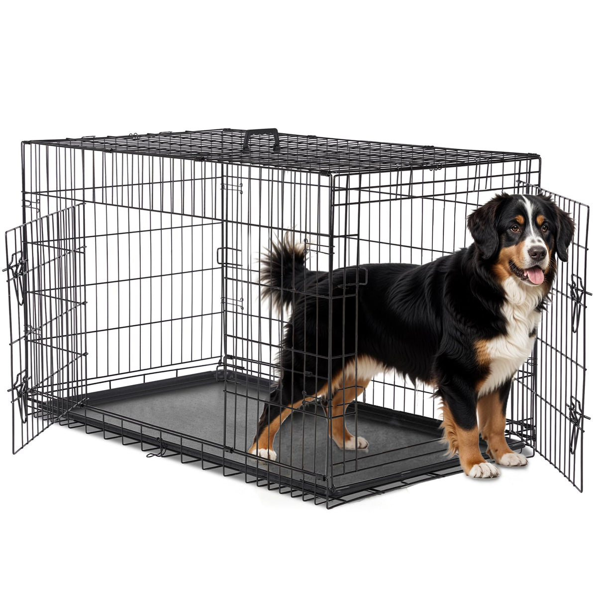 48 Inch Double Door Folding Metal Dog Crate with Divider Q260