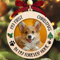 Dog Ornaments H876