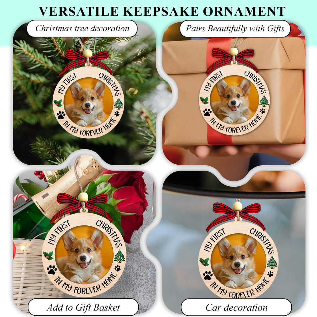 Dog Ornaments H876