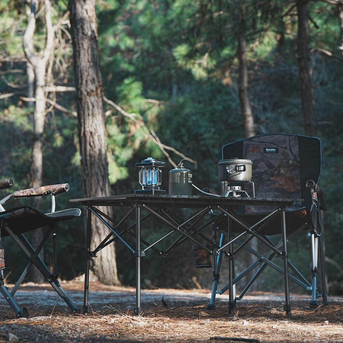 Folding Camping Table Aluminum Adjustable Height Black T756997