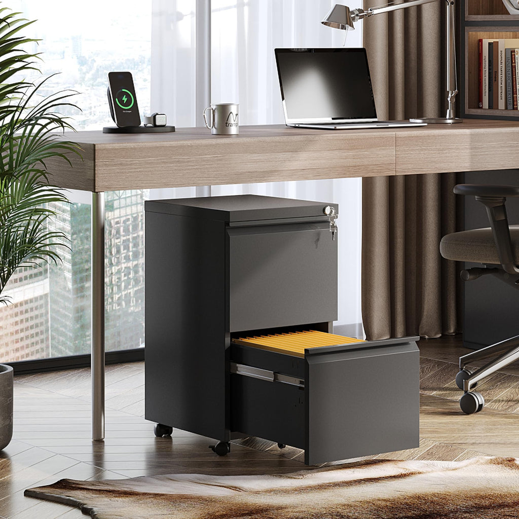 2 Drawer Metal File Cabinet V397893
