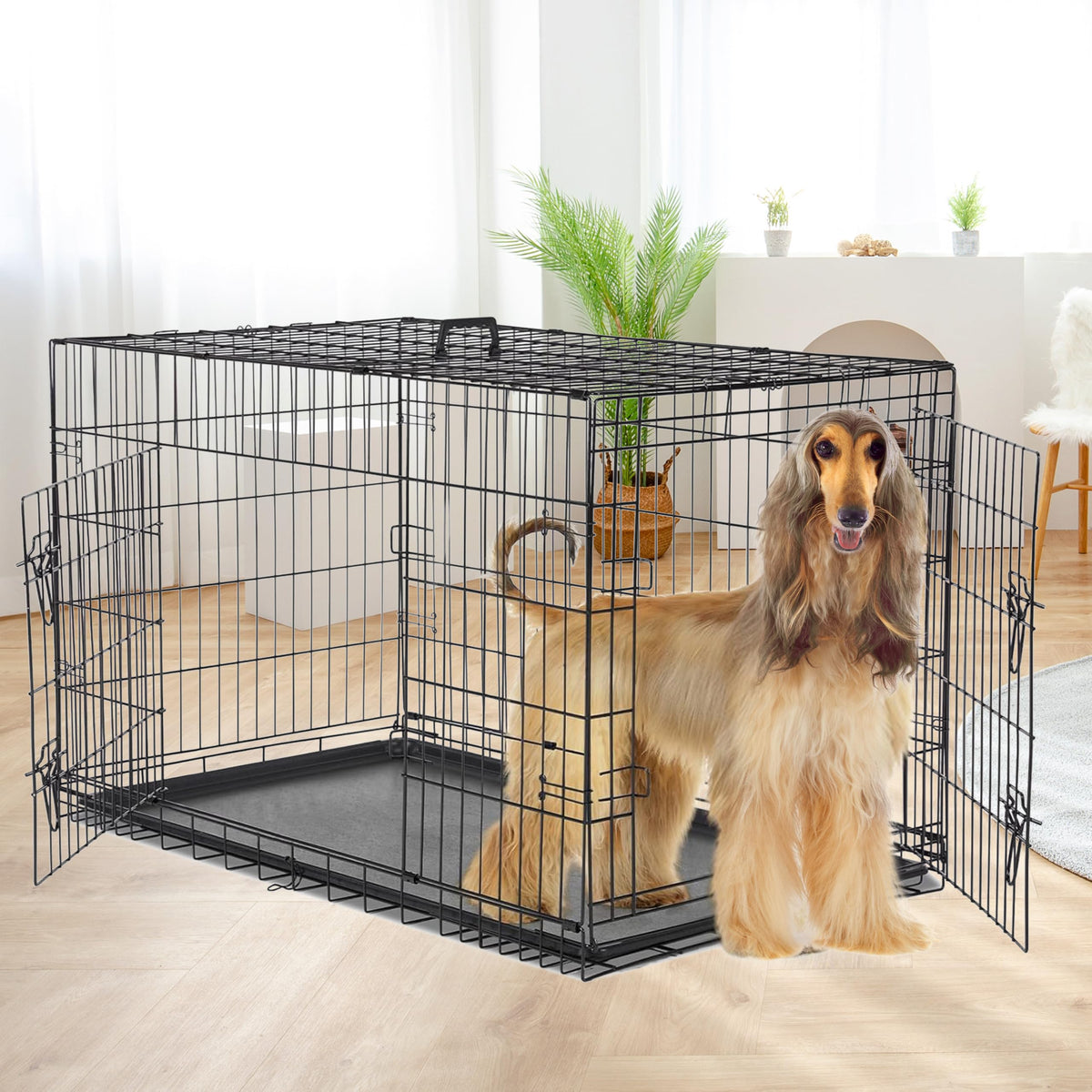 48 Inch Double Door Folding Metal Dog Crate with Divider Q260